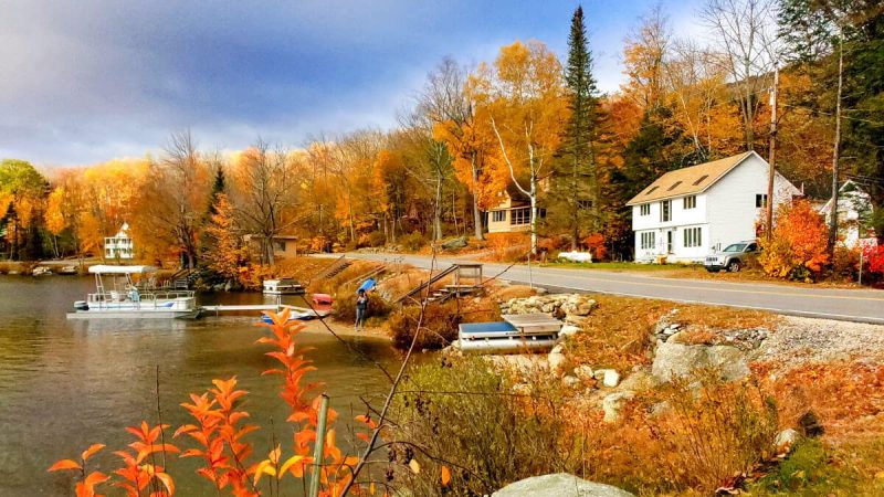 Unveiling the Wonders of NH Discovery: A Journey into Nature’s Hidden Treasures